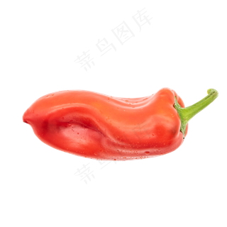 一颗新鲜菜椒辣椒