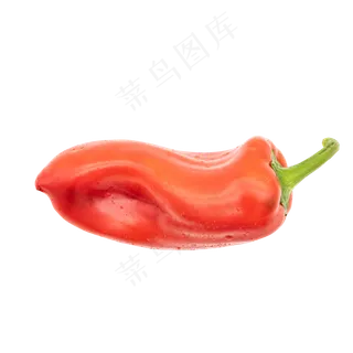 一颗新鲜菜椒辣椒 一颗新鲜菜椒辣椒