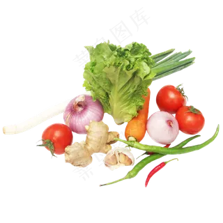 生菜番茄辣椒洋葱大蒜萝卜 生菜番茄辣椒洋葱大蒜萝卜