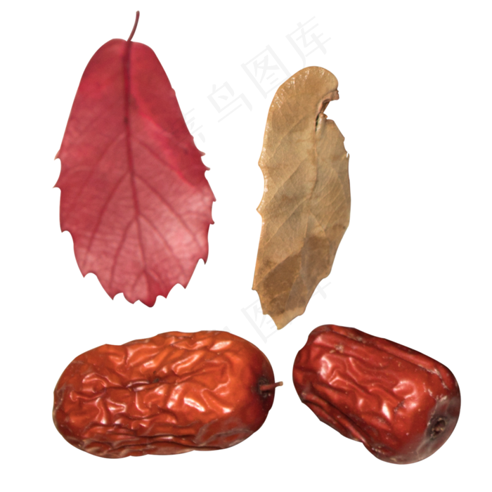 实拍破损的秋天树叶