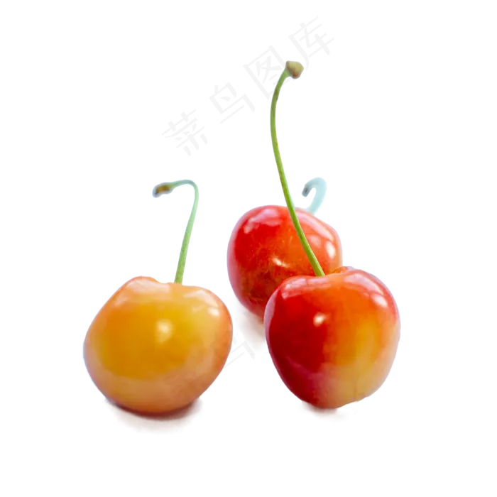 水晶樱桃(2000*2000px 300 dpi )