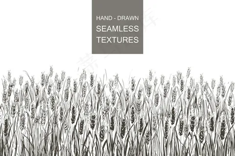 小麦矢量无缝纹田。农村手绘版画