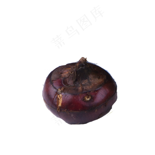 红色的马蹄免抠图