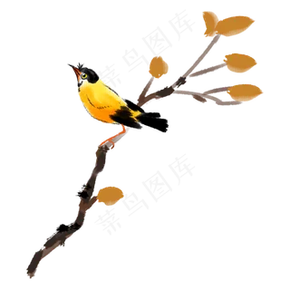 树枝上的黄鹂