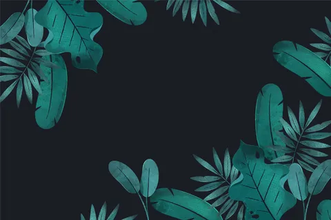 热带空白壁纸 热带空白壁纸