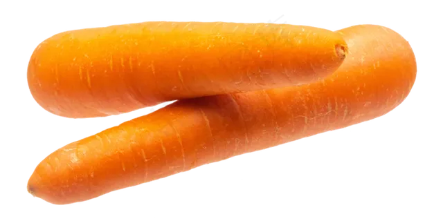 大胡萝卜 大胡萝卜