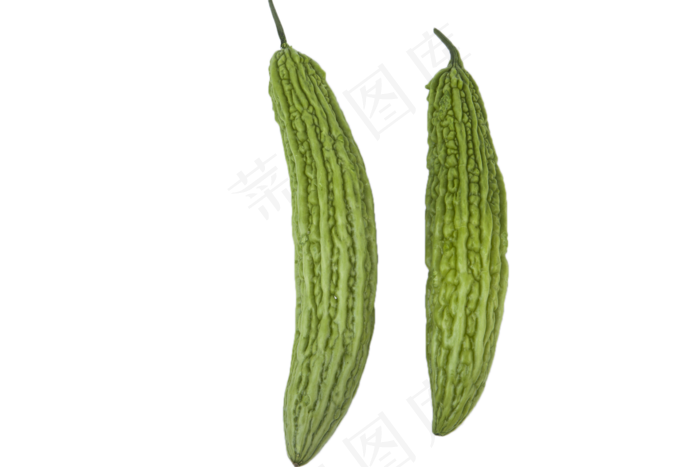 绿色食品清火苦瓜