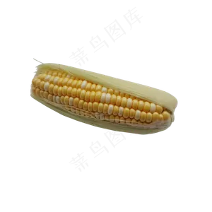 玉米谷物