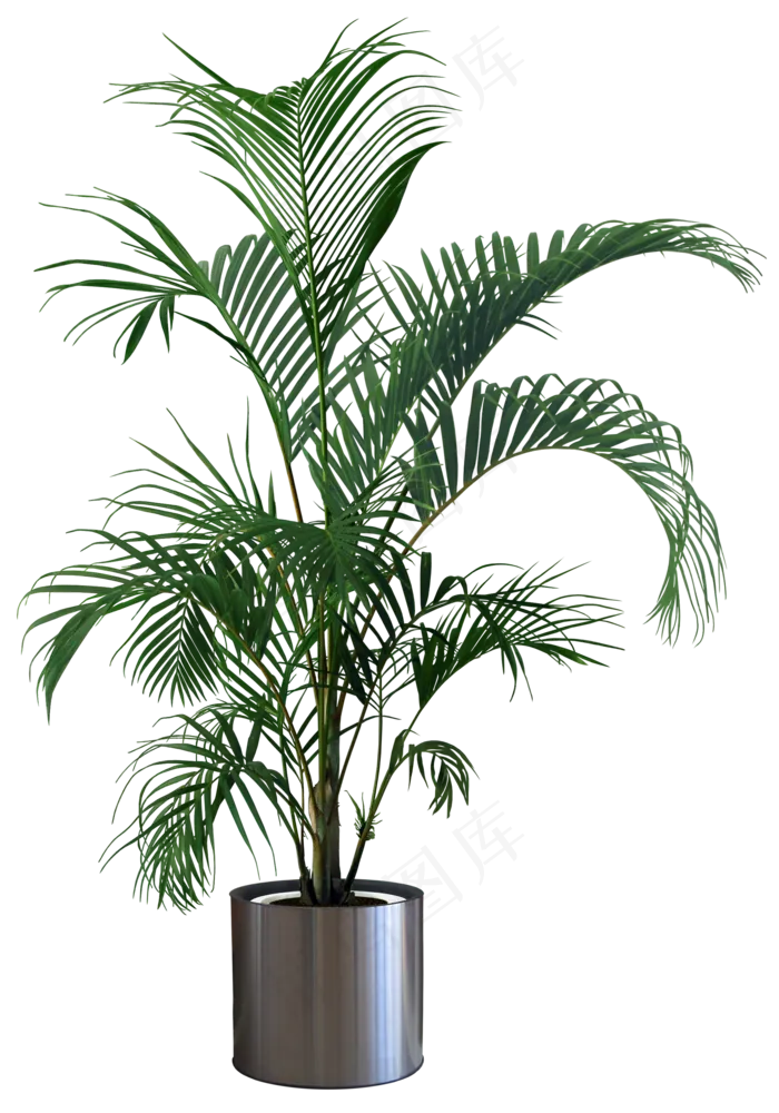 植物盆栽元素