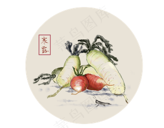 24节气寒露萝卜水墨画