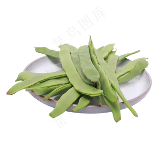 绿色的四季豆 绿色的四季豆