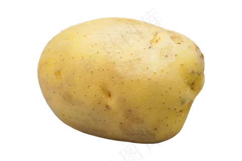 土豆马铃薯