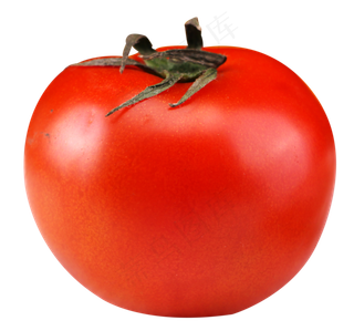 西红柿蔬菜