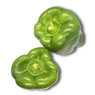 蔬菜菌菇蘑菇 蔬菜菌菇蘑菇