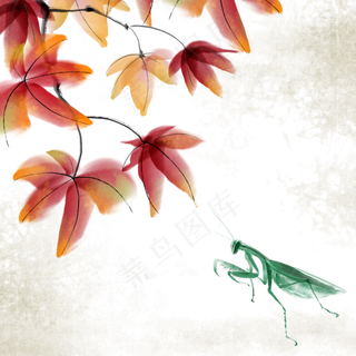 可商用水墨国画中国风昆虫螳螂枫