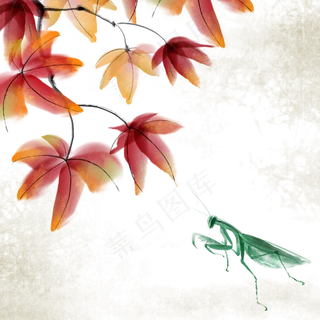 可商用水墨国画中国风昆虫螳螂枫