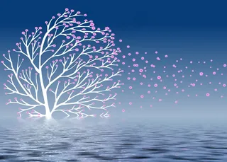 电视墙背景画效果图片