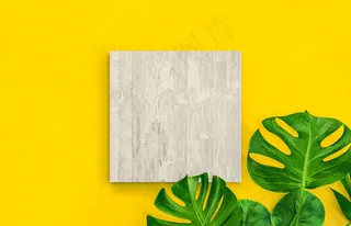 带热带棕榈叶的空立方盒子，用于产品展示。平躺。3d渲染。