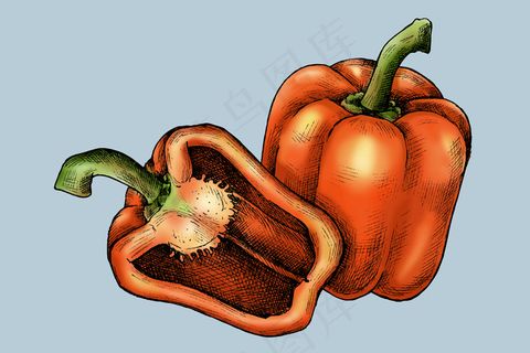 有机新鲜切片甜椒载体