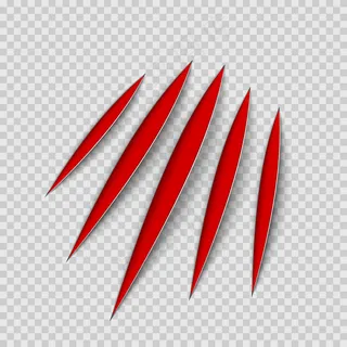 红色的爪子动物抓抓的痕迹。猫或老虎抓爪子的形状。四颗钉子的痕迹。透明背景插图