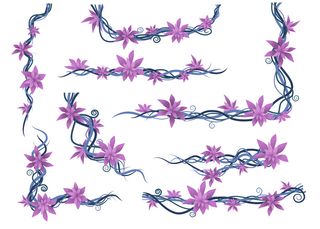 藤本植物设置抽象紫色野生藤本植物分支平面矢量图在白色背景下隔离。