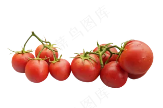 番茄西红柿蔬菜