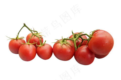 番茄西红柿蔬菜 番茄西红柿蔬菜
