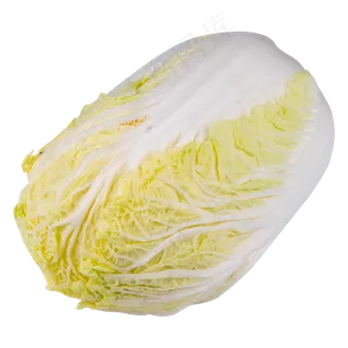 白色大白菜