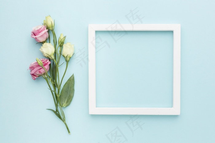 顶视图迷你玫瑰花架