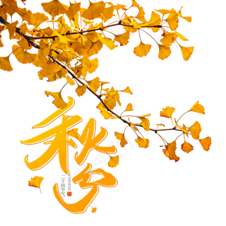 二十四节气秋分