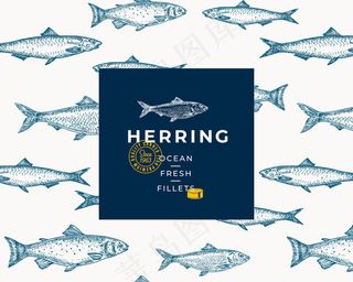手绘鱼背景图案。抽象包装素描卡或封面模板与时尚的排版和标志。鲱鱼、凤尾鱼和鲑鱼素描。
