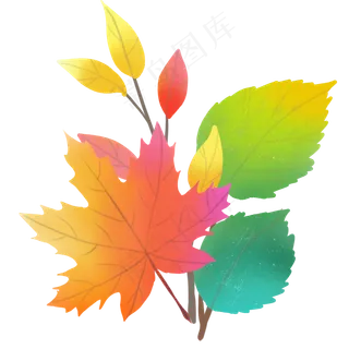 树叶枫叶叶子