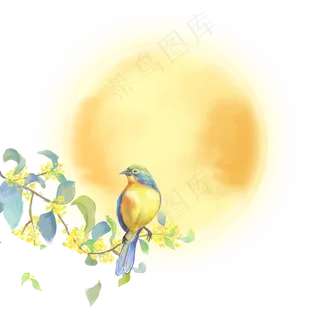 中秋桂花中秋节