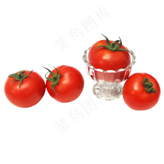 食材番茄西红柿