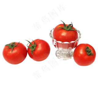 食材番茄西红柿