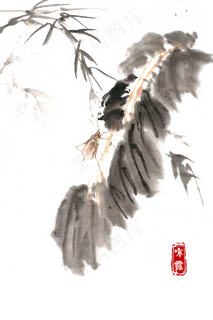 中国风节气寒露秋虫