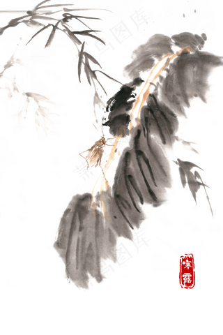 中国风节气寒露秋虫