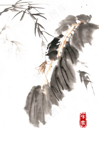 中国风节气寒露秋虫