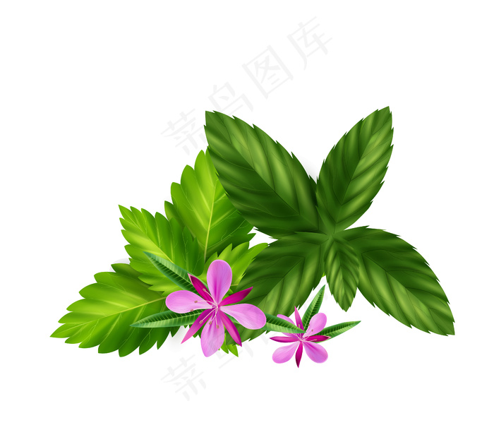 具有梅丽莎叶和柳草花的逼真草本或绿茶成分eps,ai矢量模版下载
