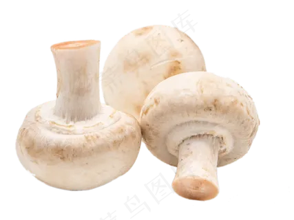 香菇蔬菜小吃 香菇蔬菜小吃