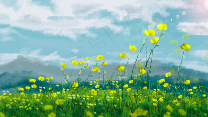 阳光下的油菜花卉(2880*1620px 300 dpi )