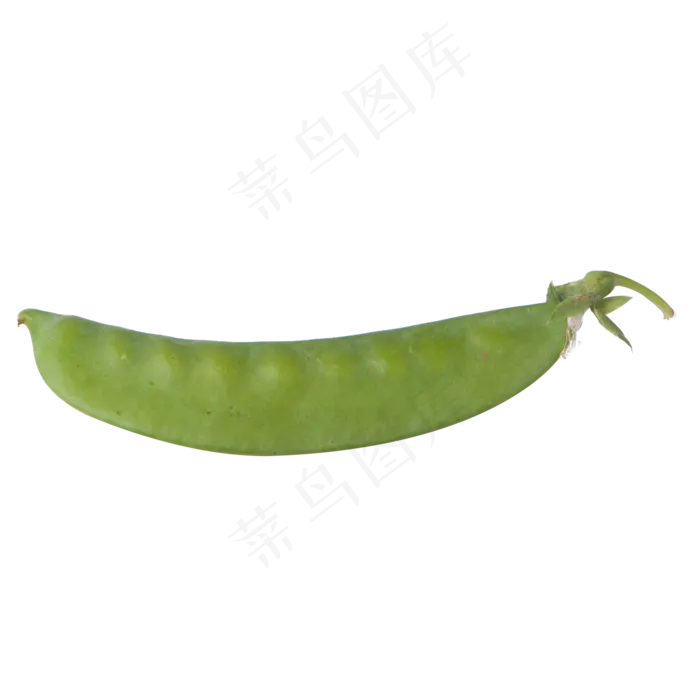 实拍一个绿色营养豆角(2000X2000(DPI:300))psd模版下载
