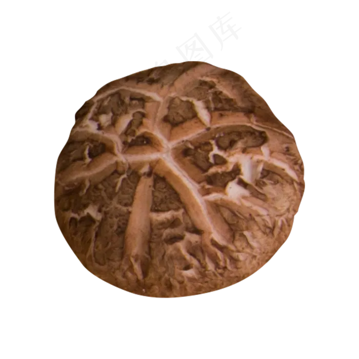 灰色创意纹理蘑菇食物元素(2000X2000(DPI:300))psd模版下载