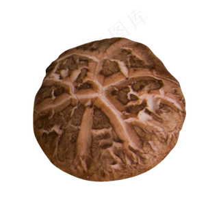 灰色创意纹理蘑菇食物元素