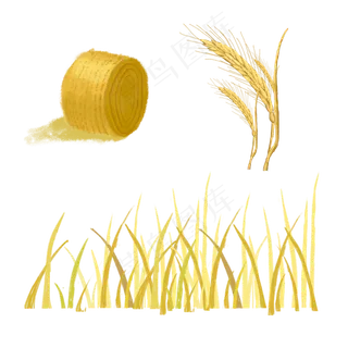 芒种的麦穗稻堆,免抠元素