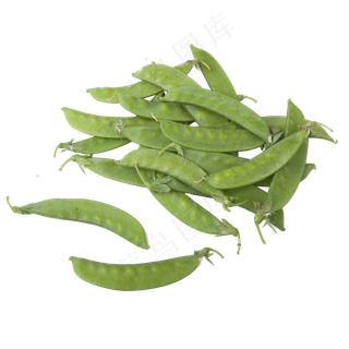 实拍一堆绿色营养豆角