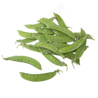 实拍一堆绿色营养豆角 实拍一堆绿色营养豆角