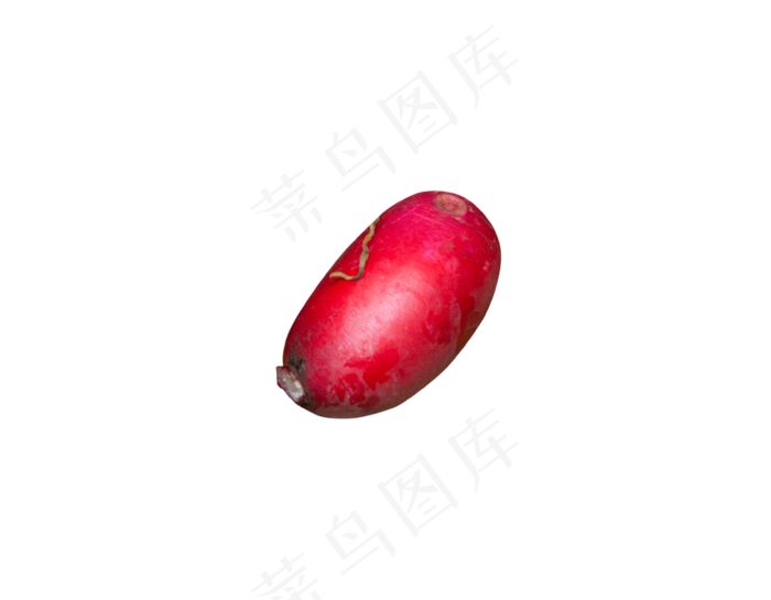好吃美味营养的胡萝卜(3577X2786(DPI:240))psd模版下载