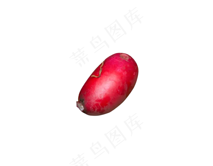 好吃美味营养的胡萝卜(3577X2786(DPI:240))psd模版下载