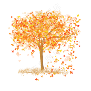 立秋秋天落叶可商用元素